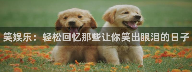 辉达平台哪个游戏好爆