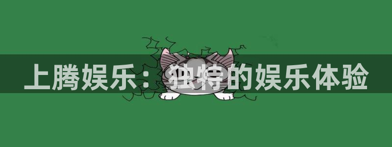 辉达平台下载链接