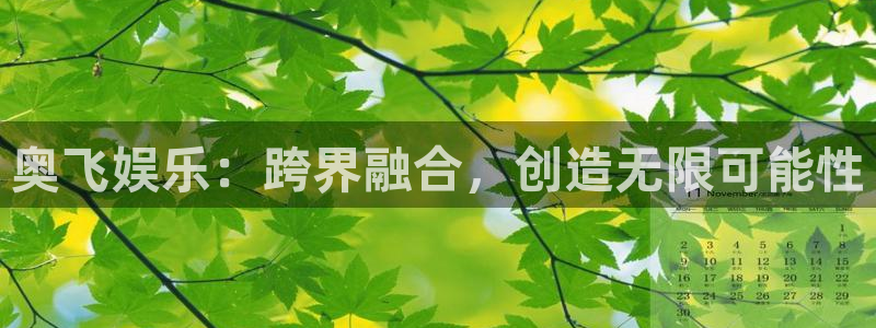 辉达平台kgame：奥飞娱乐：跨界融合，创造无限可能性