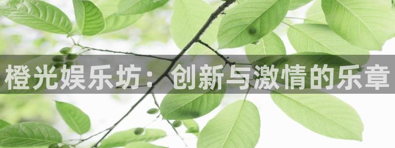 东莞市辉达平台电子科技有限公司：橙光娱乐坊：创新与激情的乐章