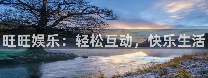 辉达平台体育3：旺旺娱乐：轻松互动，快乐生活