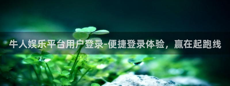 东莞市辉达平台电子科技有限公司：牛人娱乐平台用户登录-便捷登录体验，赢在起跑线