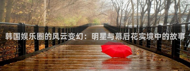辉达平台股份：韩国娱乐圈的风云变幻：明星与幕后花实境中的故事