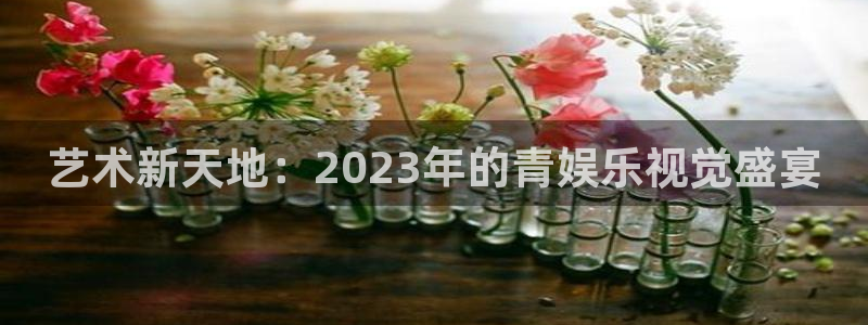 辉达平台平台官方入口下载：艺术新天地：2023年的青娱乐视觉盛宴