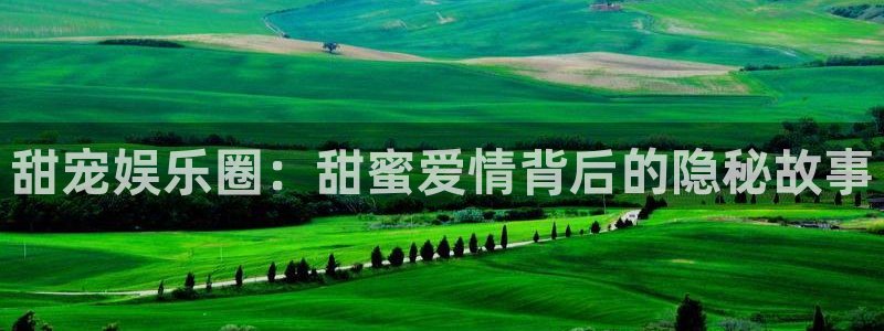 辉达平台主管：甜宠娱乐圈：甜蜜爱情背后的隐秘故事