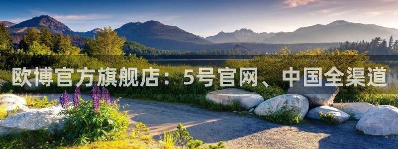 辉达平台f平台注册：欧博官方旗舰店：5号官网、中国全渠道