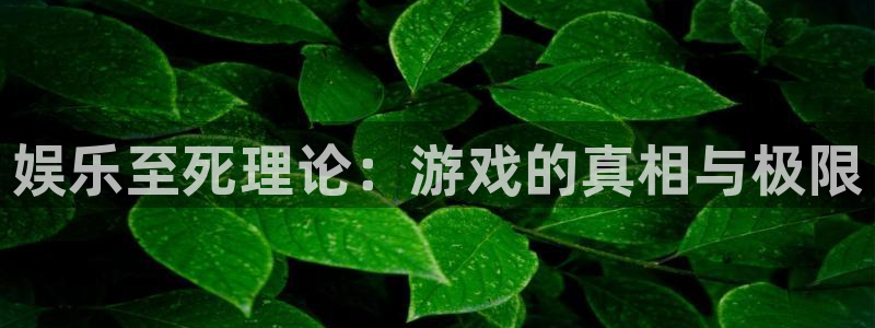 辉达平台平台招商：娱乐至死理论：游戏的真相与极限