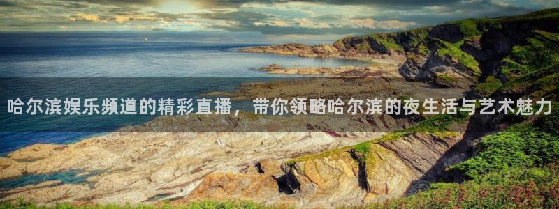 辉达平台注册网站：哈尔滨娱乐频道的精彩直播，带你领略哈尔滨的夜生活与艺术魅力