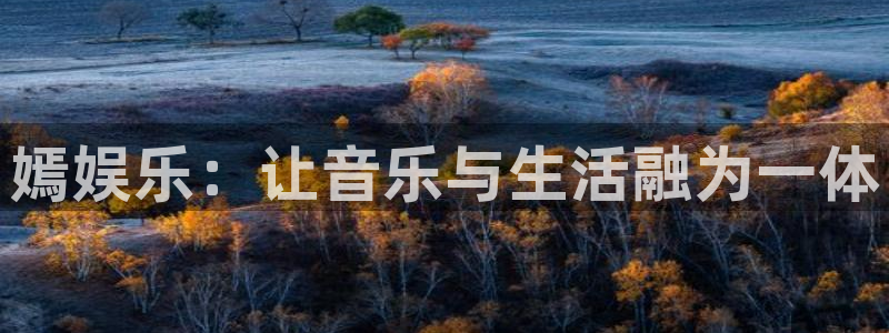 辉达平台平台注册入口：嫣娱乐：让音乐与生活融为一体