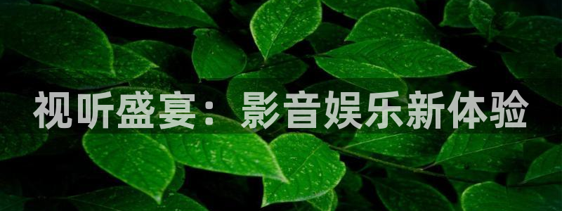辉达平台体育和杏耀是哪个公司的：视听盛宴：影音娱乐新体验