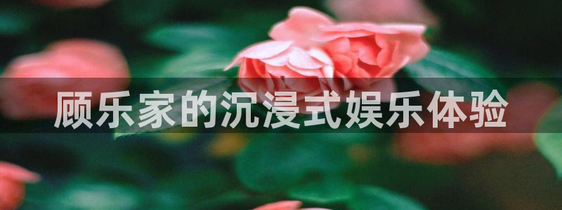 辉达平台是真的吗：顾乐家的沉浸式娱乐体验