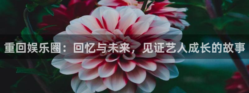 辉达平台.ccm官网版：重回娱乐圈：回忆与未来，见证艺人成长的故事