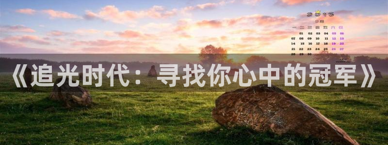 辉达平台登录注册：《追光时代：寻找你心中的冠军》