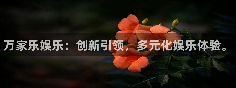 佛山市南海辉达平台机电仪器有限公司：万家乐娱乐：创新引领，多元化娱乐体验。