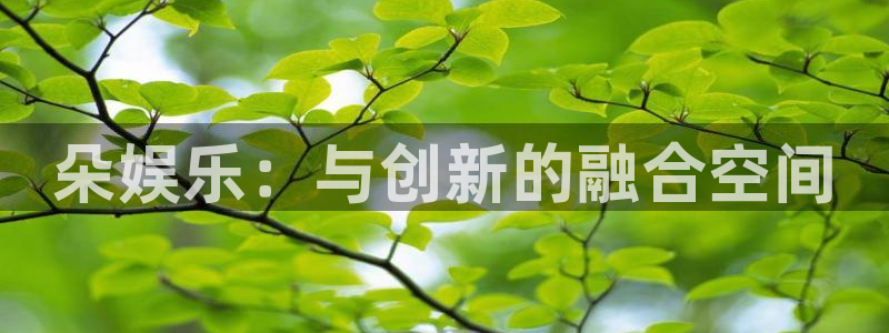 辉达平台3：朵娱乐：与创新的融合空间