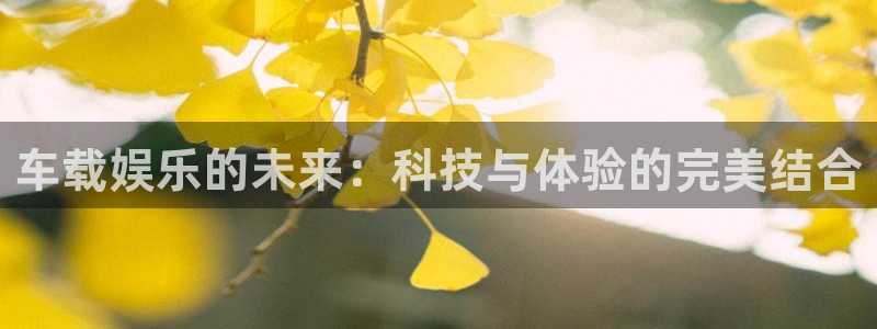辉达平台平台链接：车载娱乐的未来：科技与体验的完美结合