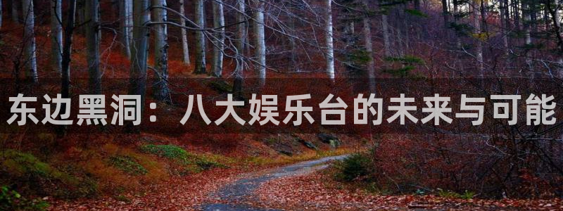 辉达平台2登录地址：东边黑洞：八大娱乐台的未来与可能