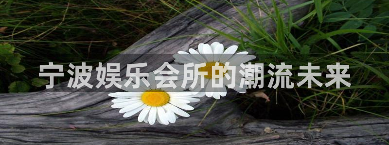 辉达平台体育凯捷平台注册：宁波娱乐会所的潮流未来