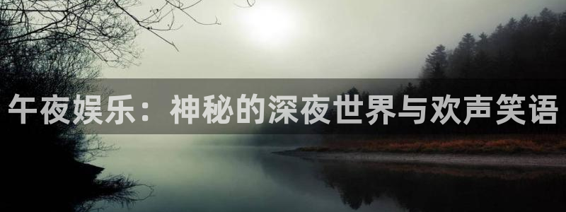 辉达平台网站登录流程：午夜娱乐：神秘的深夜世界与欢声笑语