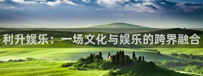 辉达平台电子游戏：利升娱乐：一场文化与娱乐的跨界融合