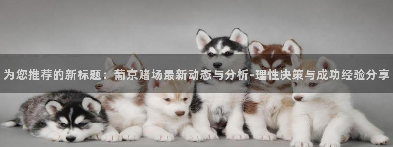 辉达平台：为您推荐的新标题：葡京赌场最新动态与分析-理性决策与成功经验分享