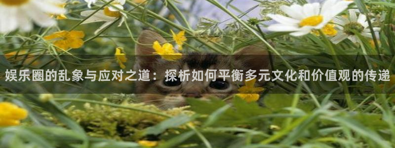 辉达平台体育app下载：娱乐圈的乱象与应对之道：探析如何平衡多元文化和价值观的传