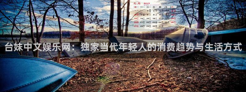 辉达平台5招商：台妹中文娱乐网：独家当代年轻人的消费趋势与生活方式