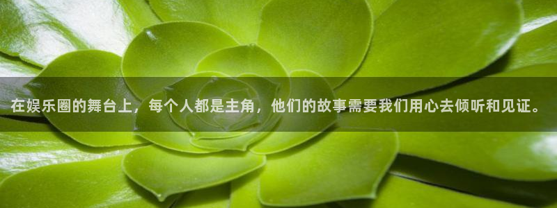南宫辉达平台官网下载链接：在娱乐圈的舞台上，每个人都是主角，他们的故事需要我们用