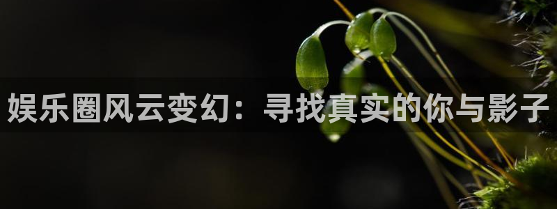 辉达平台体育注册代理：娱乐圈风云变幻：寻找真实的你与影子