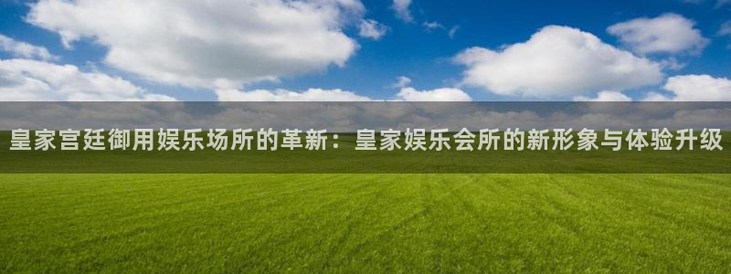 辉达平台3：皇家宫廷御用娱乐场所的革新：皇家娱乐会所的新形象与体验升级