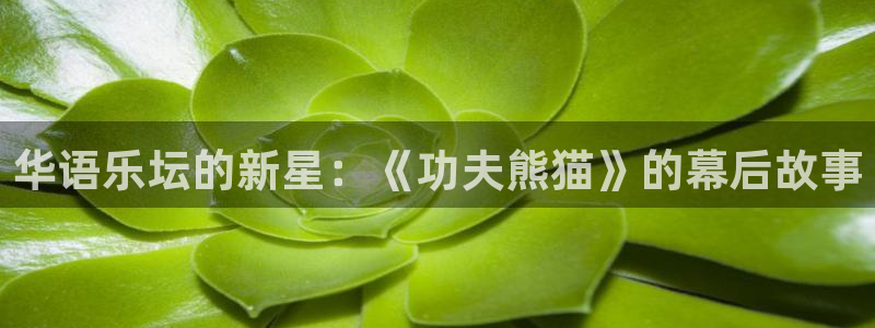 辉达平台平台下载入口：华语乐坛的新星：《功夫熊猫》的幕后故事