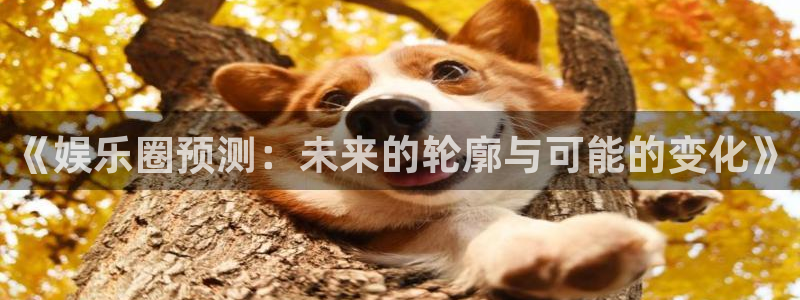 辉达平台app新版上线体验.游戏更新入口.中国：《娱乐圈预测：未来的轮廓与可能的