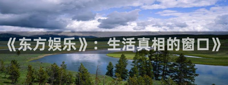 辉达平台加拿大下载