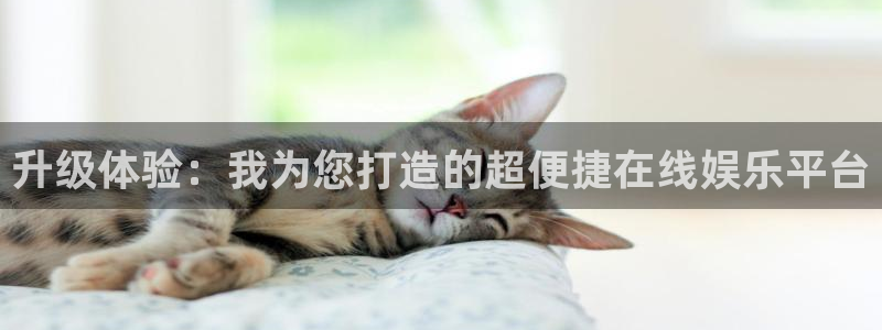 辉达平台游戏官网平台入口：升级体验：我为您打造的超便捷在线娱乐平台